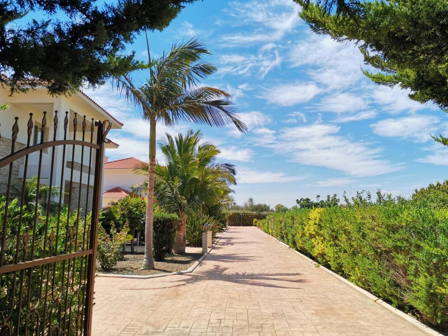 Orchard Blossom Private Villa With Pool Phrenaros Kültér fotó