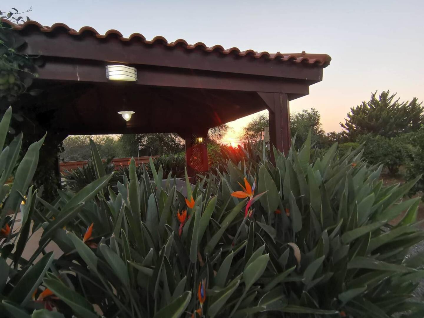 Orchard Blossom Private Villa With Pool Phrenaros Kültér fotó
