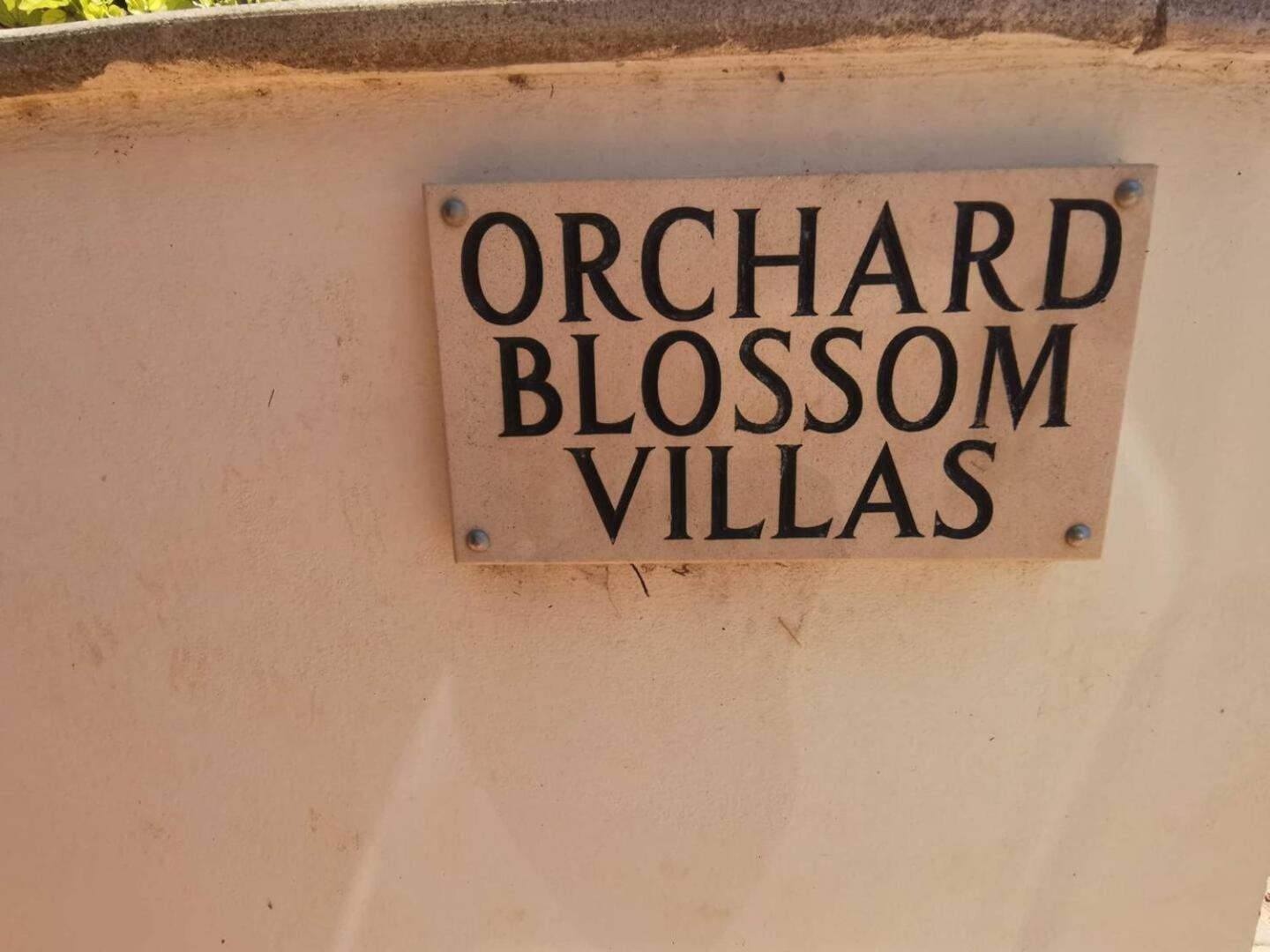 Orchard Blossom Private Villa With Pool Phrenaros Kültér fotó